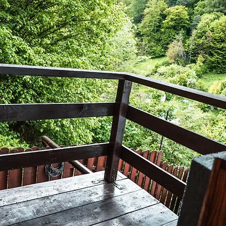 Holiday home Pinewood Brasov